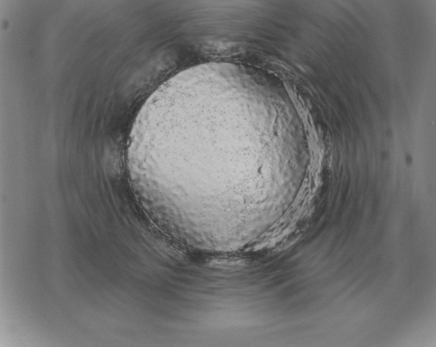 X0000076080515200610152256