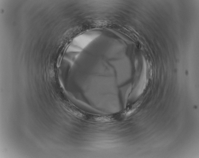 X0000076080516200610152256