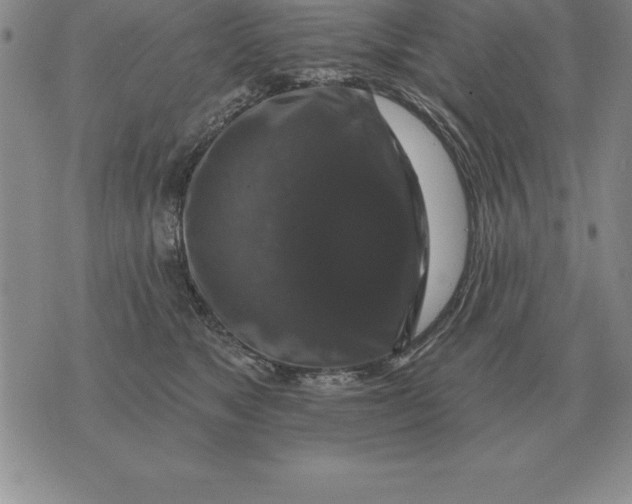 X0000076080517200610152256