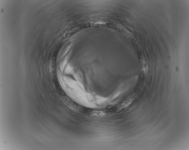 X0000076080519200610152256