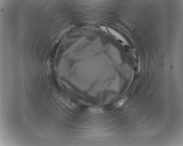 X0000076080520200610152256