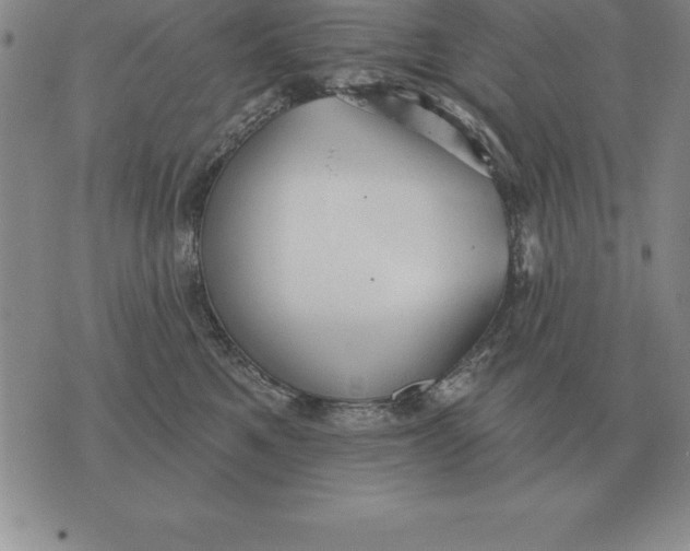 X0000076080521200610152256