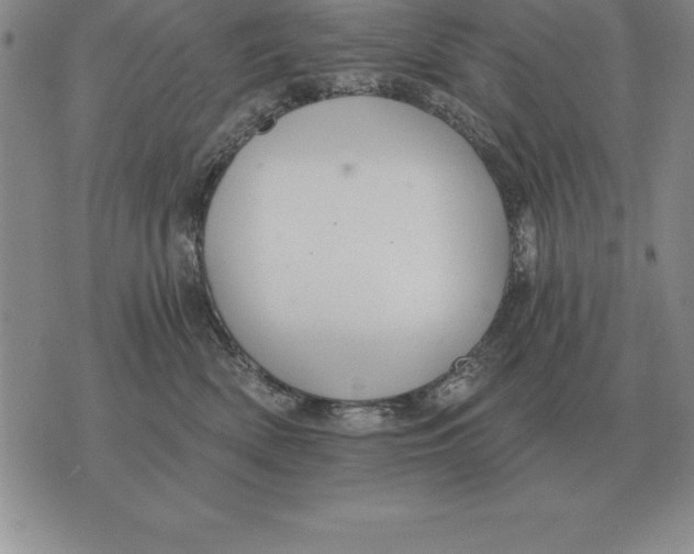 X0000076080522200610152256