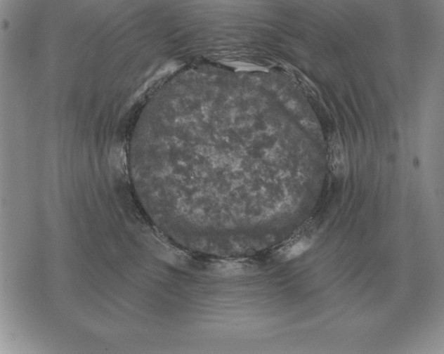 X0000076080523200610152256