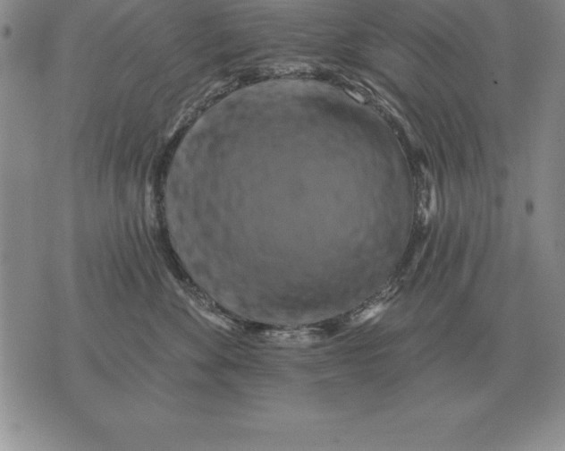 X0000076080524200610152256