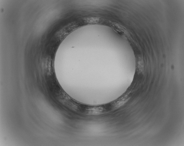 X0000076080525200610152256