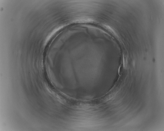 X0000076080531200610152255