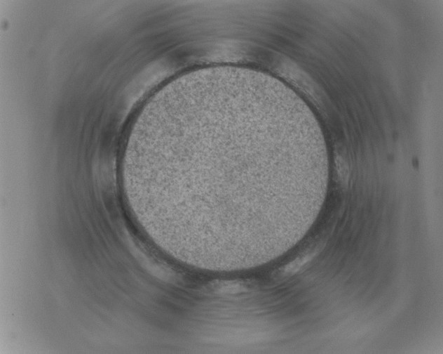 X0000076080534200610152255