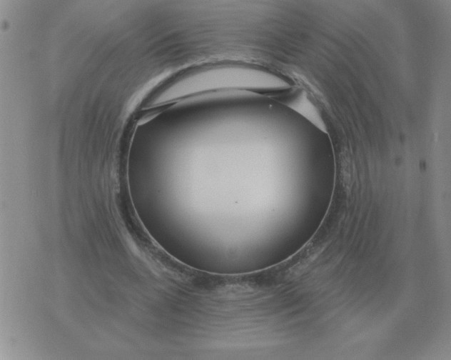 X0000076080536200610152255