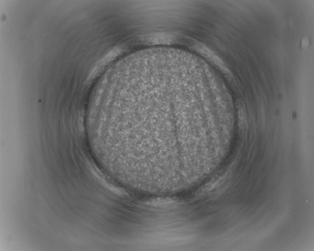 X0000076080537200610152255