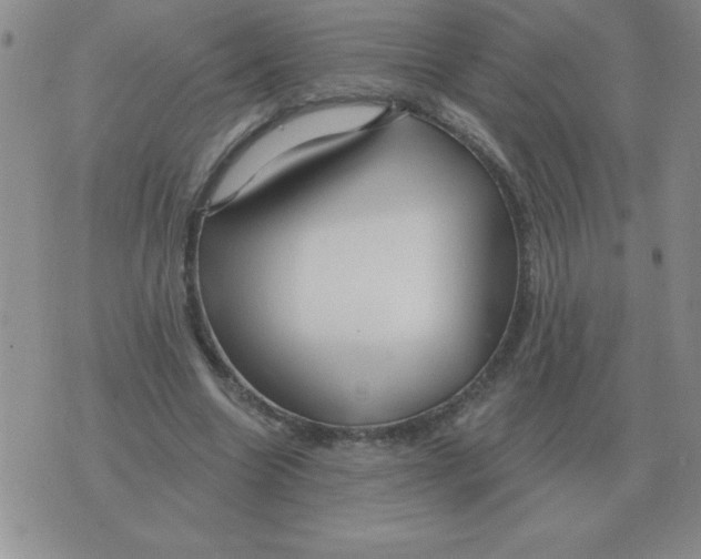 X0000076080538200610152255