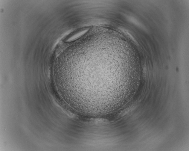 X0000076080539200610152255