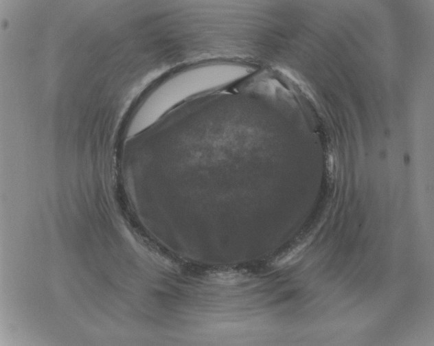 X0000076080540200610152255