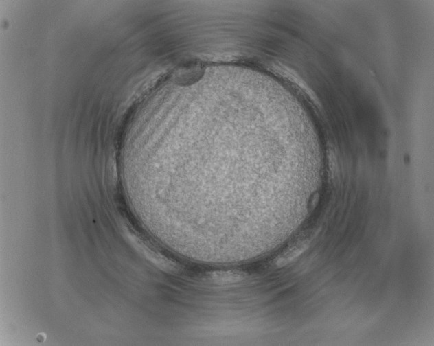 X0000076080541200610152255