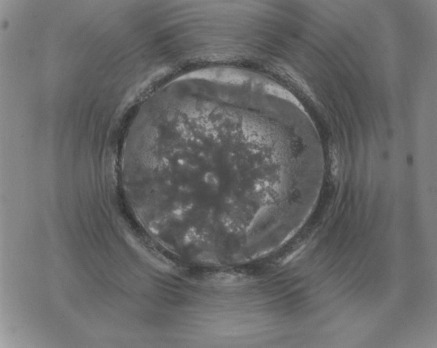 X0000076080542200610152255