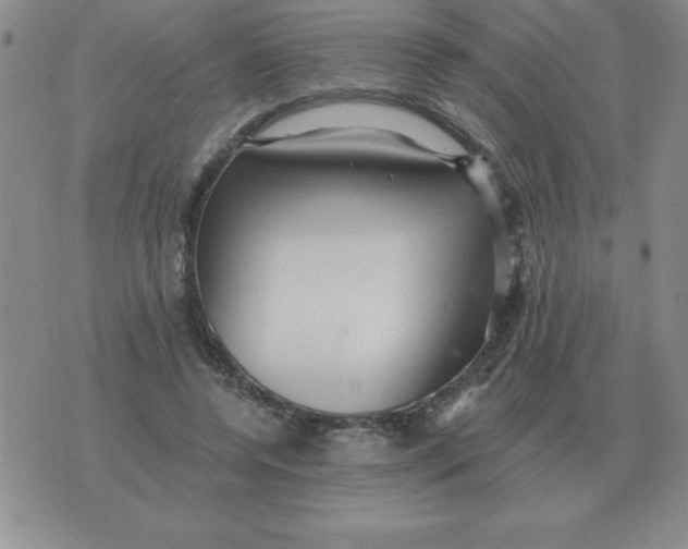 X0000076080544200610152255