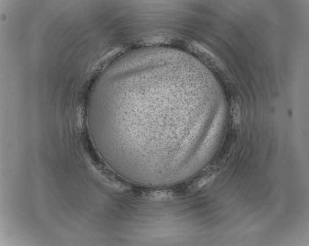 X0000076080546200610152255