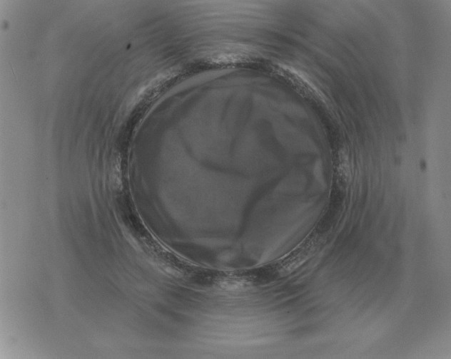 X0000076080547200610152255