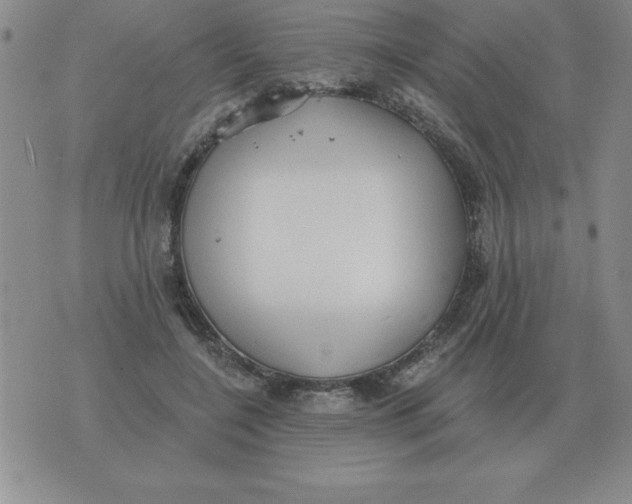 X0000076080548200610152255