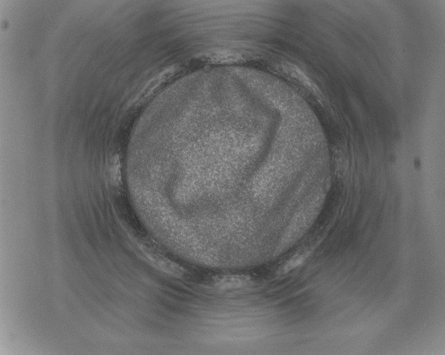 X0000076080549200610152255