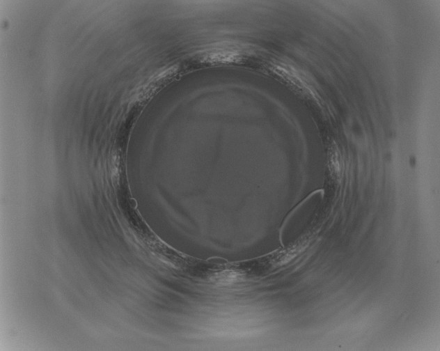 X0000076080551200610152255