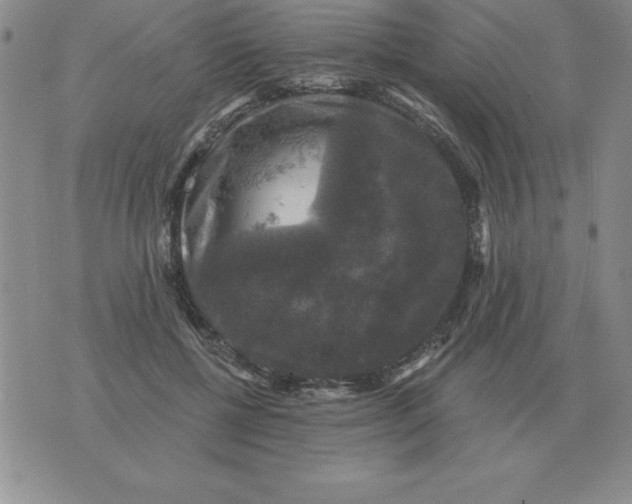 X0000076080552200610152255