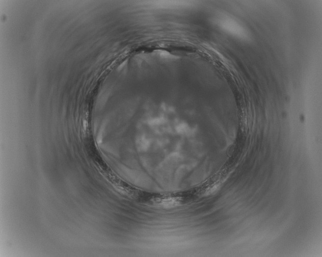 X0000076080553200610152255