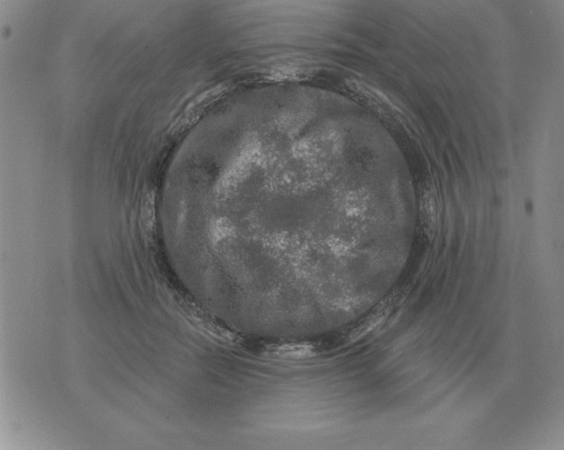 X0000076080554200610152255