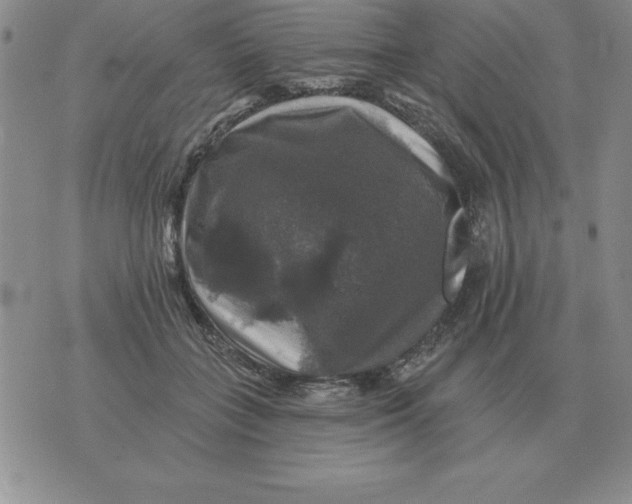 X0000076080555200610152255