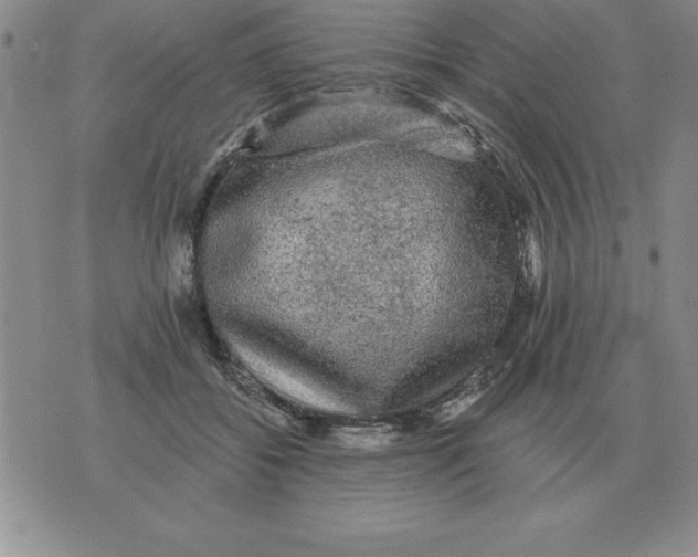 X0000076080556200610152255