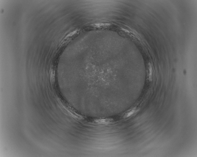 X0000076080558200610152255