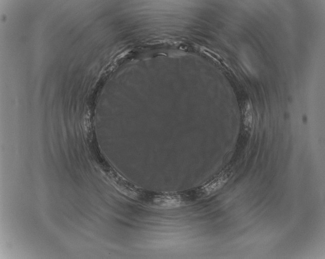 X0000076080559200610152255