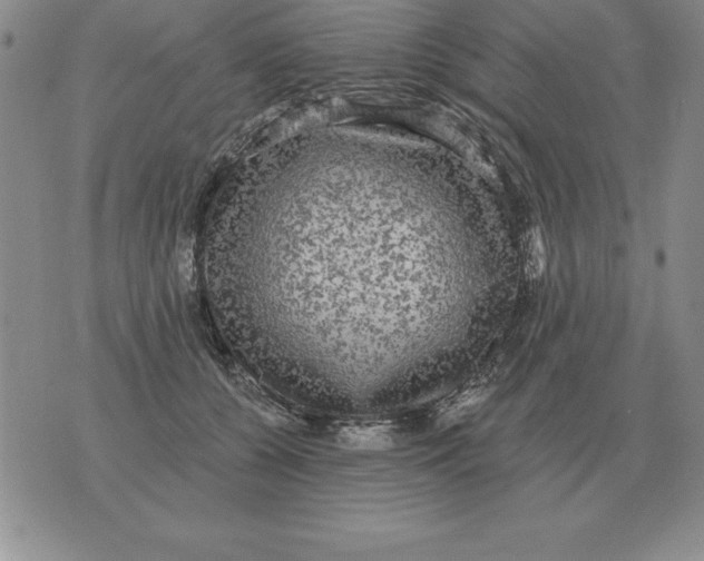 X0000076080560200610152255