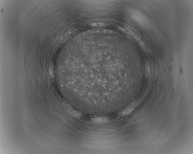 X0000076080561200610152255