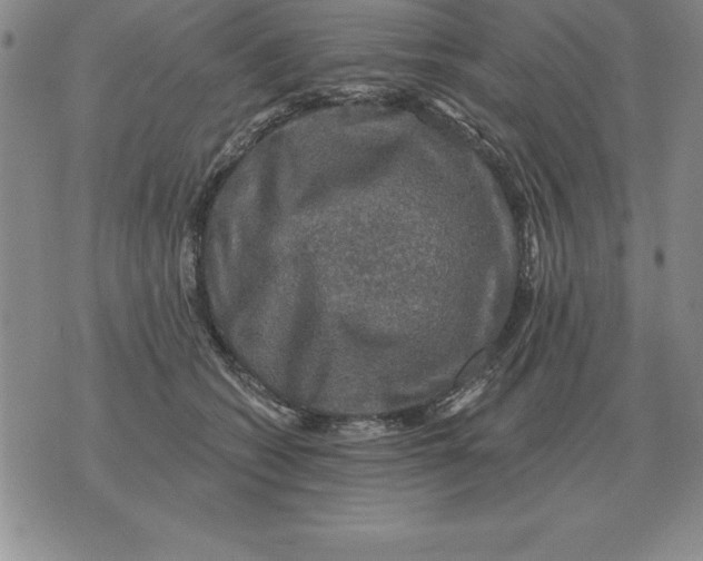 X0000076080562200610152255