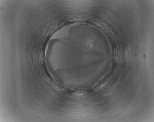 X0000076080563200610152255