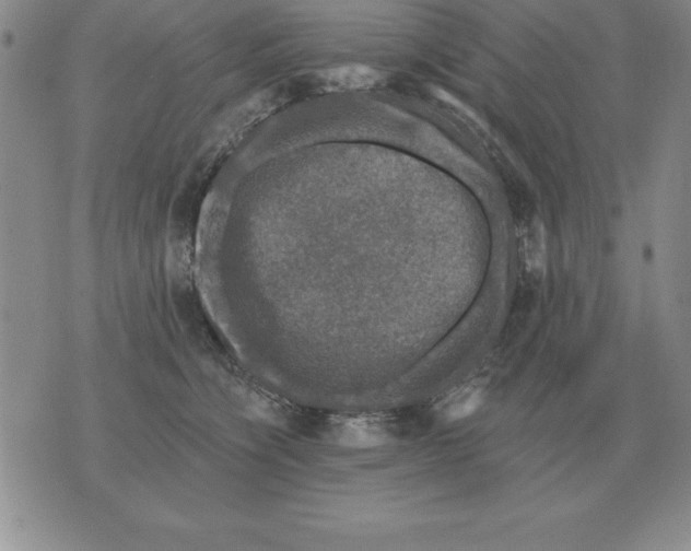 X0000076080564200610152255