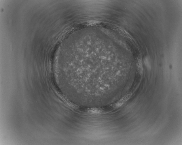 X0000076080565200610152255