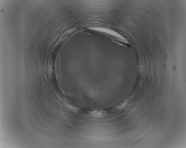 X0000076080566200610152255