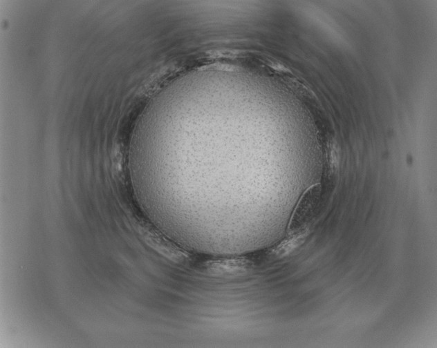 X0000076080567200610152255