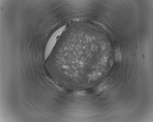 X0000076080569200610152255