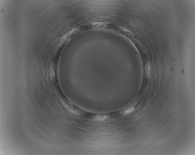 X0000076080570200610152255