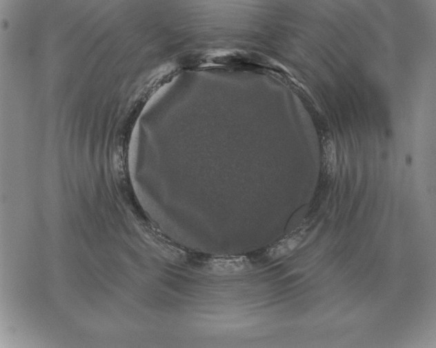 X0000076080571200610152255