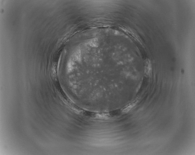 X0000076080573200610152256