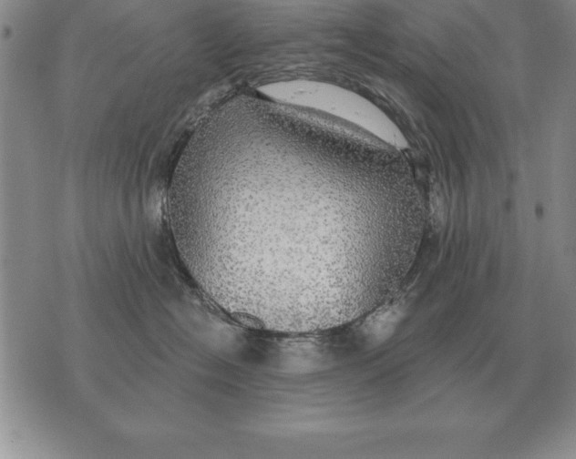 X0000076080574200610152256