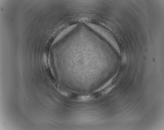 X0000076080575200610152256