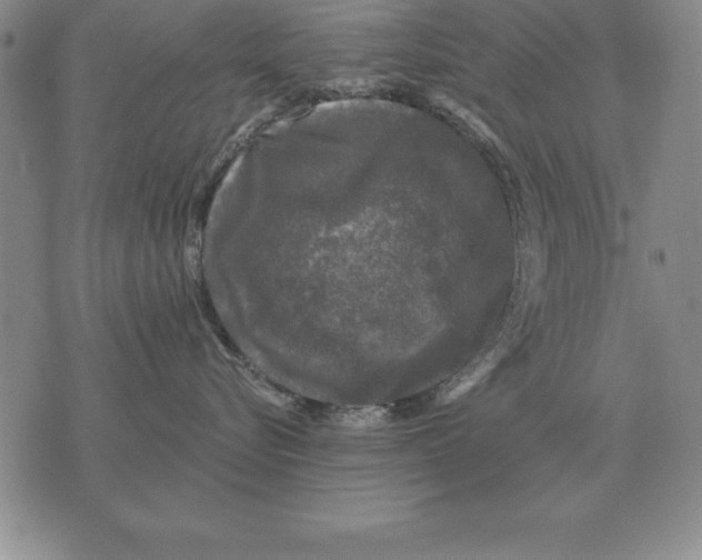 X0000076080576200610152256