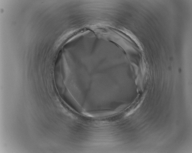 X0000076080577200610152255