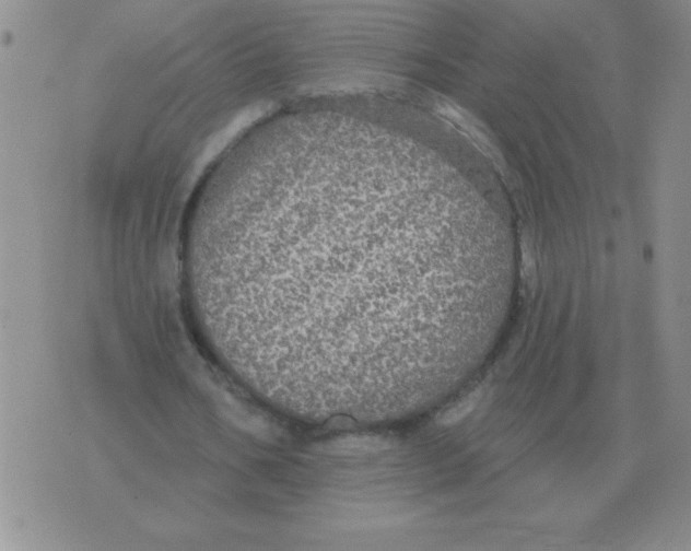 X0000076080578200610152255