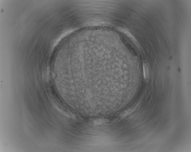 X0000076080579200610152255